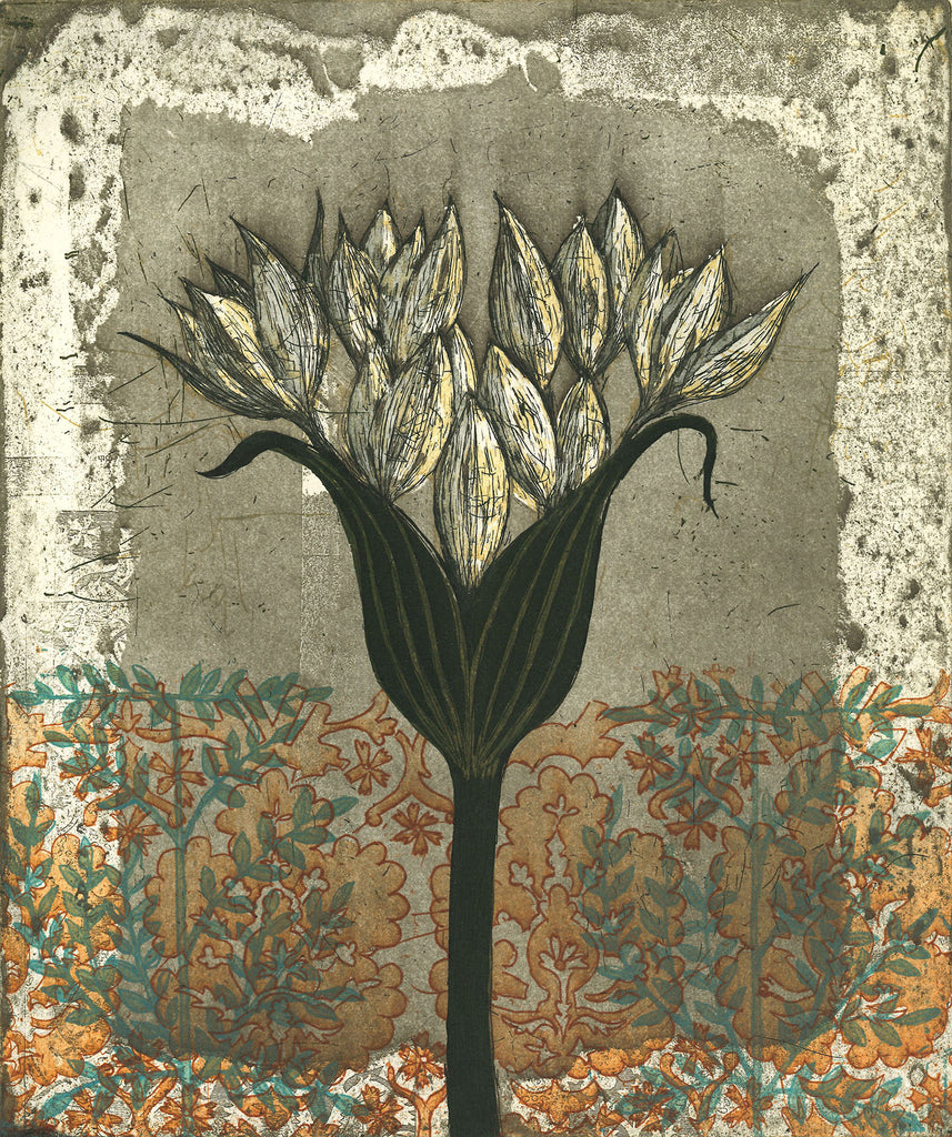 Allium Ostrowskianum