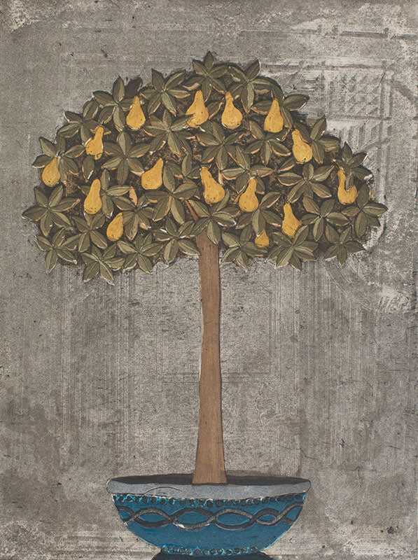Oliveiran päärynäpuu