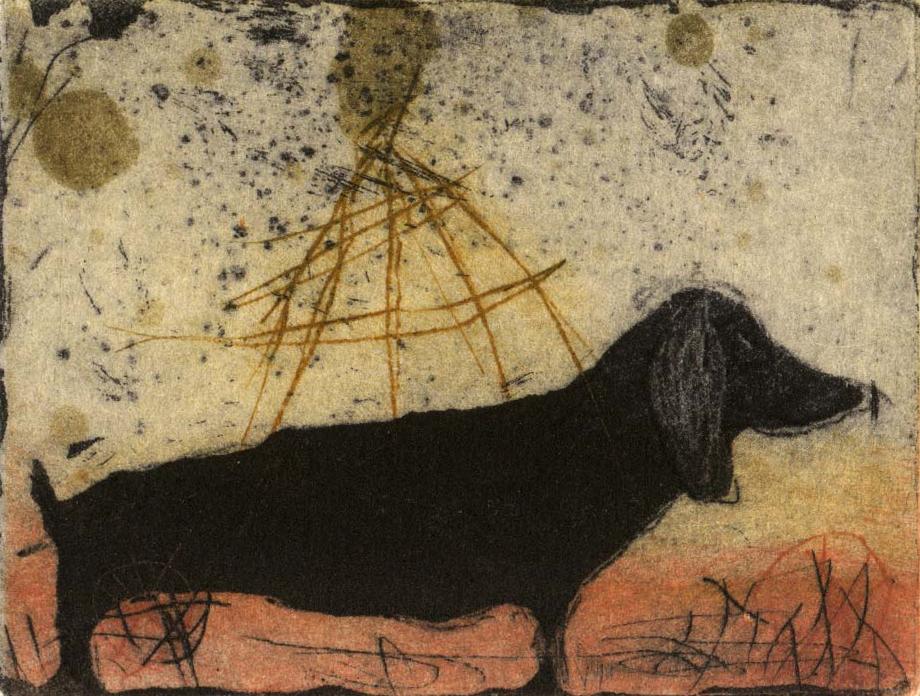 Mäyräkoira