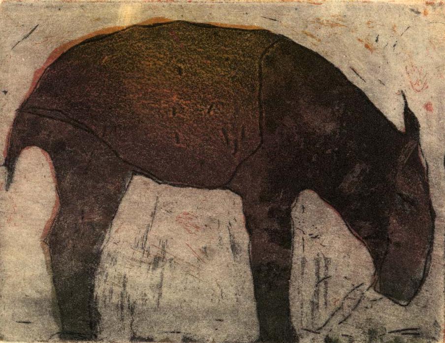 Tapiiri